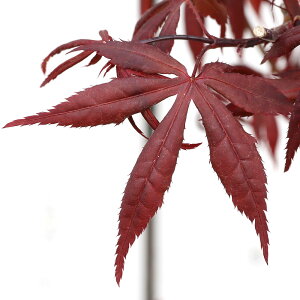 i~́j~W@|bg@~jAbh@4`6i1jsixԁj