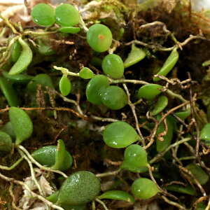 iR쑐j}d^iӗjipbNjixԁj