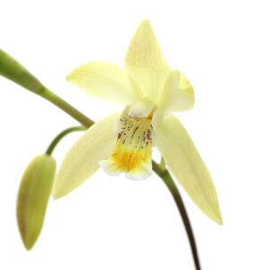 iR쑐jVijԃViԎj3i1|bgjixԁj