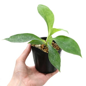 iR쑐jzggMXimCj@^JN}zggMXiGmCj@3i1|bgjixԁj