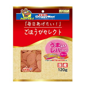 hM[}@قуZNg@܂Io[XibN@v[@120g@֓