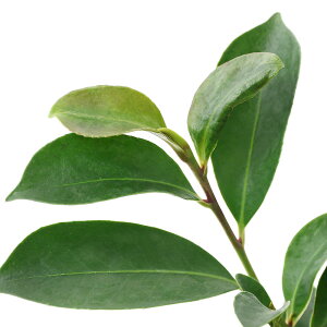 iR쑐j~́@TJLij3D5`4i1|bgjixԁj