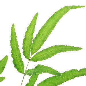 iR쑐jV_irj}cUJV_irj3i1|bgjΐN