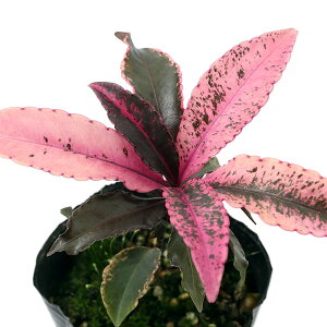 iR쑐j~́@in@gEixjNWNj3i1|bgj