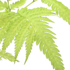 iR쑐jV_irji`V_iߒmrj3i1|bgjΐN