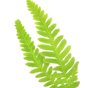 iR쑐jV_irjQWQWV_iw僗rj3i1|bgjhixԁj