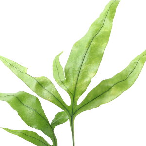 iR쑐jV_irjqgcoCqgfibtlj3i1|bgjΐN