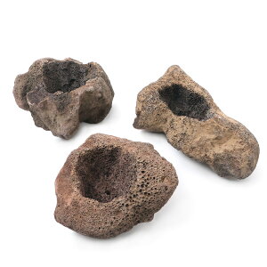 `󂨔C@nΔ@MTCY@ꌊLi1j