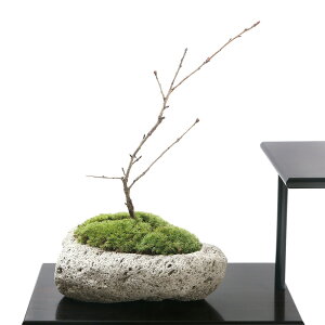 i~́jۖ~́@TNijxm@`nΔ`@STCYi1jixԁj