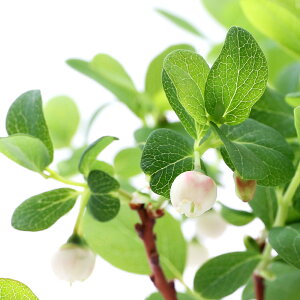 iR쑐jAT}uhEiԕEN}mLj3i1|bgjƒ؉ixԁj