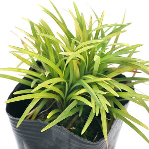 iR쑐jEmqQ@tʗ@◳@2D5`3i1|bgjixԁj