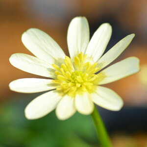 iR쑐jinqELJ@u`@2D5i1|bgjixԁj