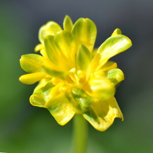 iR쑐jinqELJ@T_{E@2D5i1|bgjixԁj