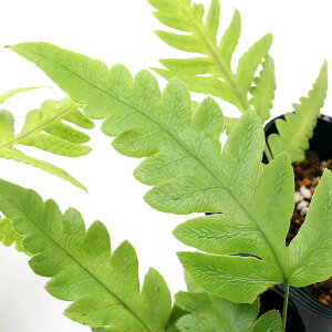 iR쑐jV_irjR`V_iqrj3i1|bgjΐN