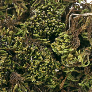 ieEjہ@Jbv@TSPp@XiSPi1Jbvj