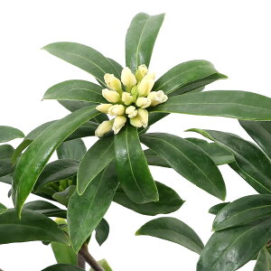 iR쑐j~́@W`EQiԁj@ԁi1|bgjixԁj