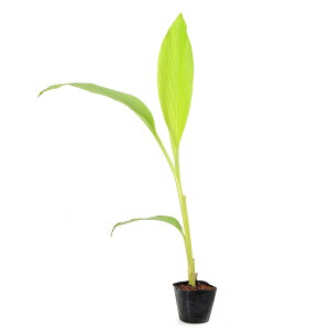 iϗtAjn[uc@tER@3i1|bgjƒ؉ixԁj