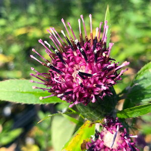 iR쑐jԉԃIPiԉԞQj3i1|bgjixԁj