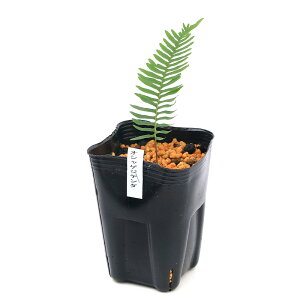 iR쑐jV_irjIVNWf_iЍvASj3i1|bgjhixԁj