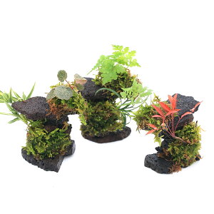 iϗtAjĂ܂At{P[m^[i1j