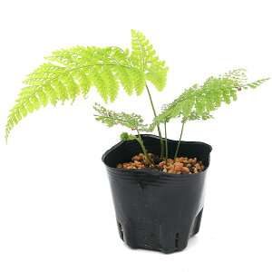 iR쑐jV_irjEV_iʗrj3i1|bgjΐN