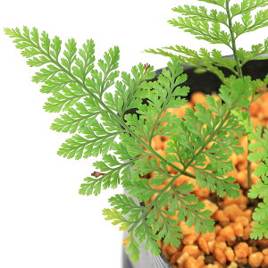 iR쑐jV_irjVmu@3i1|bgjhixԁj