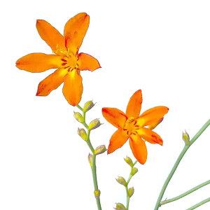 iR쑐jXYqIEMi闖wj@qqIEMXCZ@5i1jixԁj