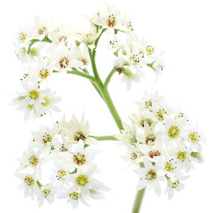 iR쑐j}o^`E\EiۗtOj@3i1|bgjixԁj