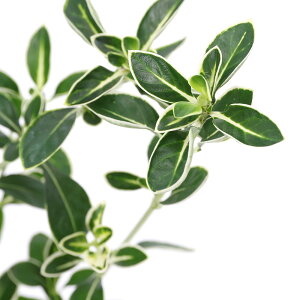 iR쑐jtCnN`EQi蔒ԁj@3i1|bgjixԁj