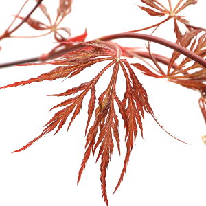 i~́j~W@|bg@g}ixjV_j4`6i1jsixԁj