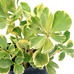 iR쑐jtbL\EixMji1|bgjixԁj