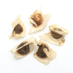 iϗtAjq@K̎i3jۏ؂Ȃ