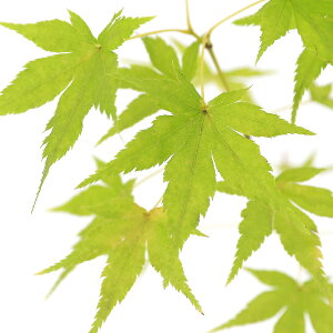 i~́j~W@|bg@Jn~h@4`6i1jsixԁj