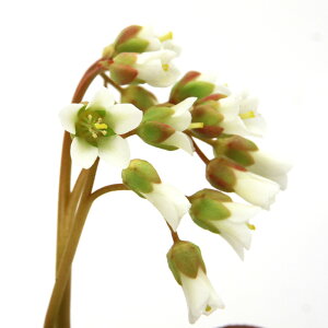 iR쑐jԃq}LmV^@2D5`3i1|bgjixԁj