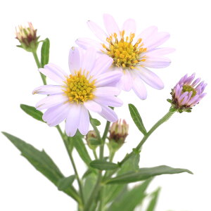 iR쑐jLNiej^jKRMNiJ썮ej@3i1|bgjixԁj