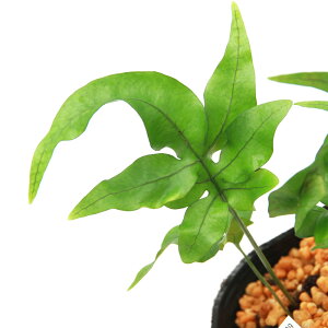 iϗtAjV_irj@Cqgf@xqiIhRj@3i1|bgjixԁj