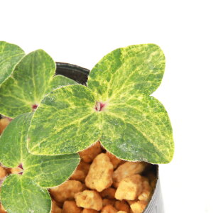 iR쑐jL\EiኄjсiRKljVLjt|i@3i1|bgjixԁj