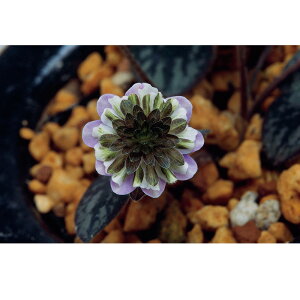 iR쑐jL\EiኄjiVEQcjOi炫@3i1|bgjixԁj