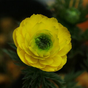 iR쑐jintNW\Eij@i^JgIUNj@3i1|bgj@ixԁjixԁj