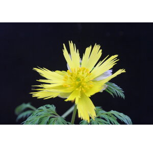 iR쑐jintNW\Eij@`ij@3i1|bgj@ixԁjixԁj