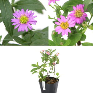 iR쑐jLNiej@mRMNi썮ej@3Zbg@EE[f@3i3|bgjixԁj