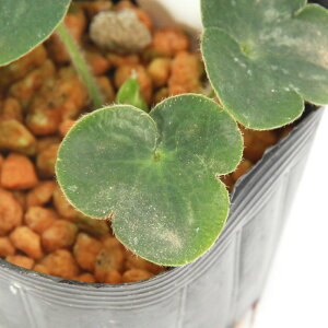 iR쑐jL\Eiኄjԁ@Wԁ@3i1|bgjixԁj