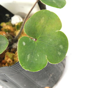 iR쑐jL\Eiኄjԁ@Wԁ@3i1|bgj