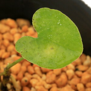 iR쑐jJAICijqJAICiPj@fS@3i1|bgjÓT|