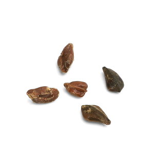 iϗtAjyqzZiEfBIiXi10j艷x30`