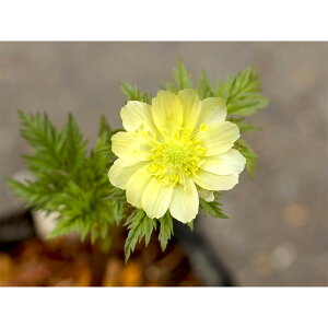 iR쑐jintNW\EijZt@3i1|bgjixԁjixԁj