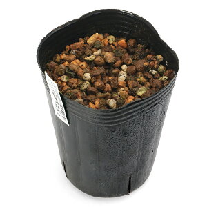 iR쑐jintNW\Eij×ٓV@3i1|bgjixԁjixԁj