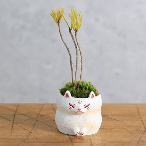 iR쑐jۖ~́@܂R쑐@dρi1j@~j~́ixԁj