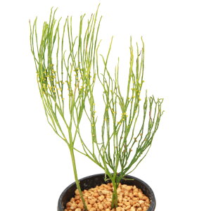 iR쑐jV_irj}co@kɁiLUT`j@3i1j