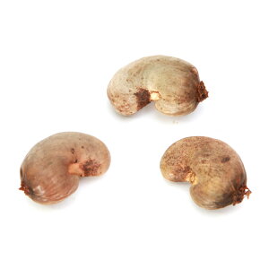 iϗtAjq@JV[ibc̎i1jۏ؂Ȃ